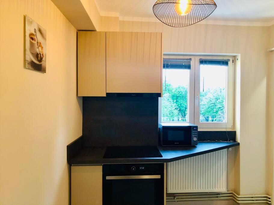 Joy City Stay Victoriei 7G-13 Тимишоара Экстерьер фото